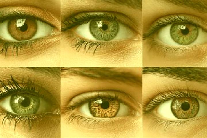 Victoria, 38, a dark blonde brown-eyed indian companion based in Chavantes. Offering Roleplay, Duos, Fetish. Available for incall and outcall, day and evenin...