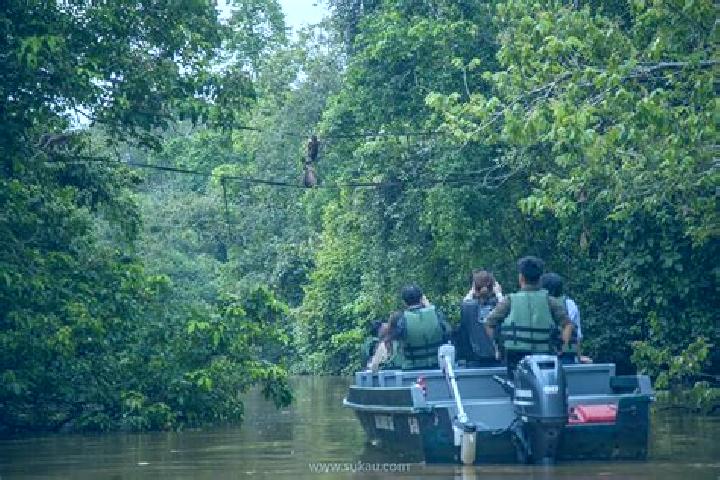 Violet, 23 — Escort in Cavallino, Italy