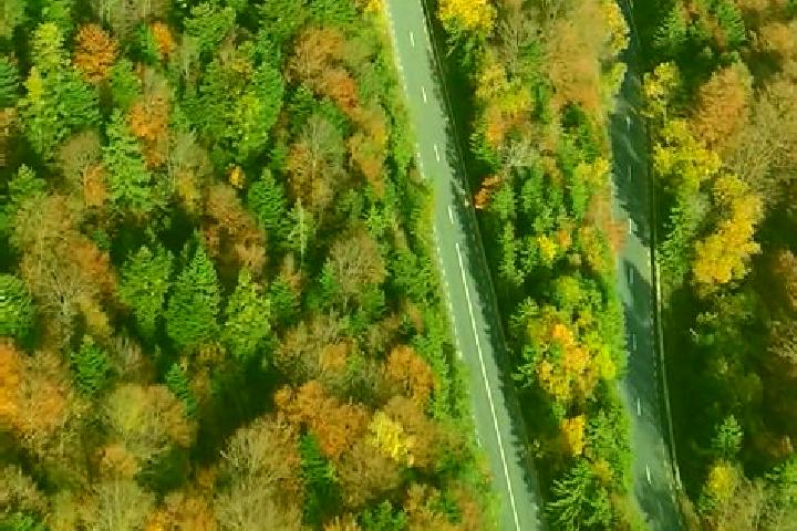 Violet, 30 — Escort in Pepper Pike, United States