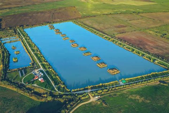 Violet, 36 — Escort in San Antonio de Romerillo, Mexico
