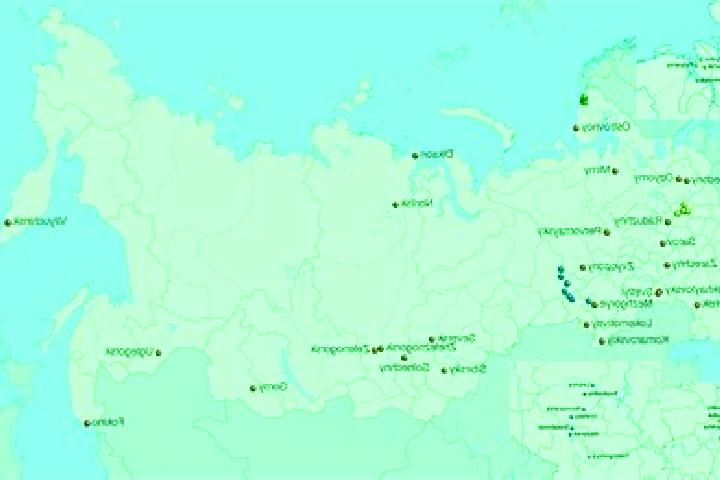 Willow, 22 — Escort in Ogrodzieniec, Poland