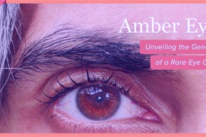 Willow, 35, a brunette grey-eyed mixed companion based in Pengjiazhuang. Offering Fetish, Travel Companion, Tantra. Available for incall and outcall, day and...