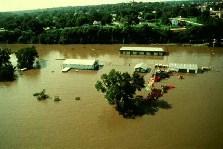 Willow, 37 — Escort in Point Hope, United States
