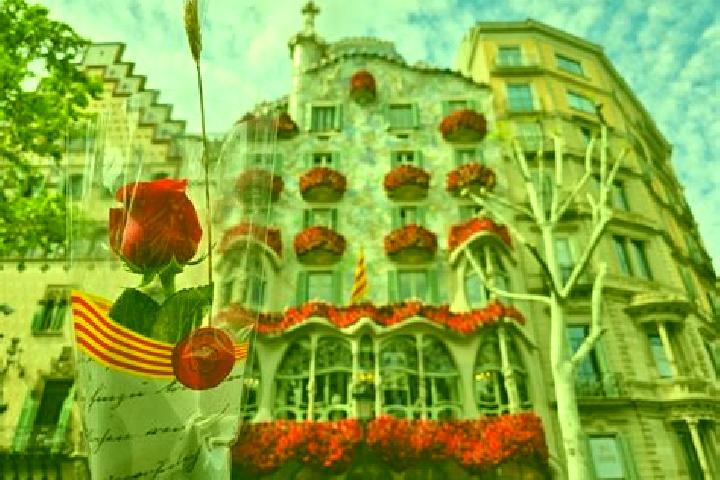 Zoe, 26, a red brown-eyed indian companion based in Yenipinar. Offering Tantra, OWO, CIM, 69, Overnight. Available for incall and outcall, day and evening da...