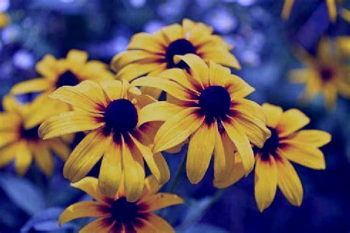Zoe, 27, a brunette grey-eyed slavic companion based in Paciran. Offering Party Girl, Deep French Kissing, Fetish, 69. Available for incall and outcall, over...