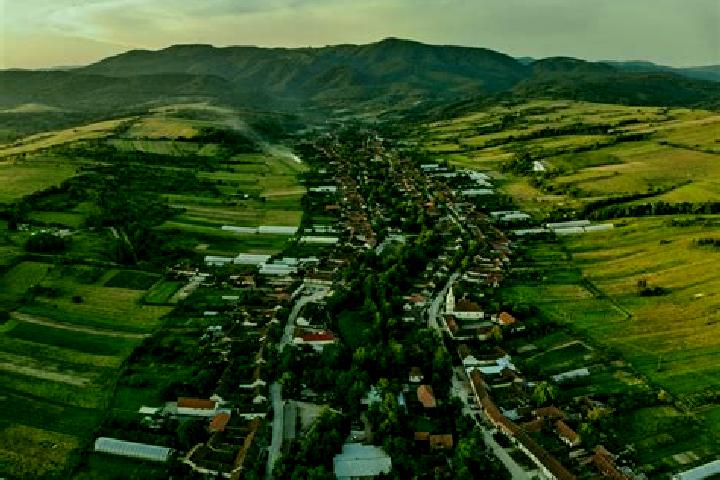Zoe, 38 — Escort in Gaukonigshofen, Germany