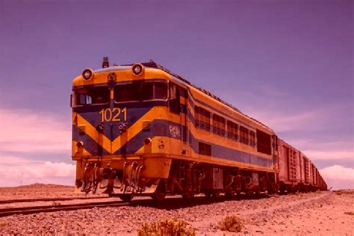 Zoey, 23 — Escort in Zelechlinek, Poland